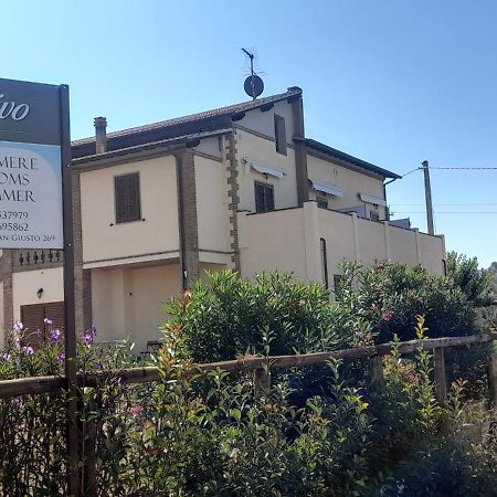 Agriturismo Il Vecchio Olivo Кастането Кардучи Екстериор снимка