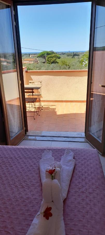 Agriturismo Il Vecchio Olivo Кастането Кардучи Екстериор снимка