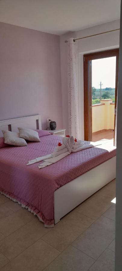 Agriturismo Il Vecchio Olivo Кастането Кардучи Екстериор снимка