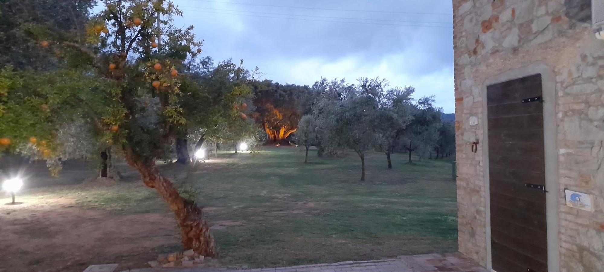 Agriturismo Il Vecchio Olivo Кастането Кардучи Екстериор снимка